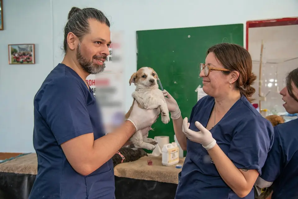 Two veterinary staff in navy scrubs smiling at a small dog in a clinic